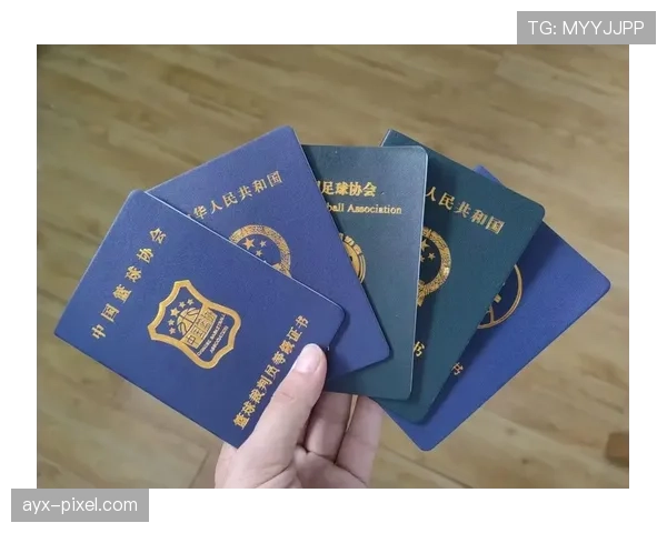 第四官员职责解析：比赛中他们到底负责哪些关键判罚辅助？